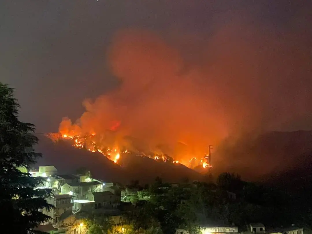 Ancora fiamme a Bagaladi, grosso incendio nel territorio del Parco Aspromonte