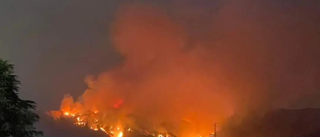 Ancora fiamme a Bagaladi, grosso incendio nel territorio del Parco Aspromonte
