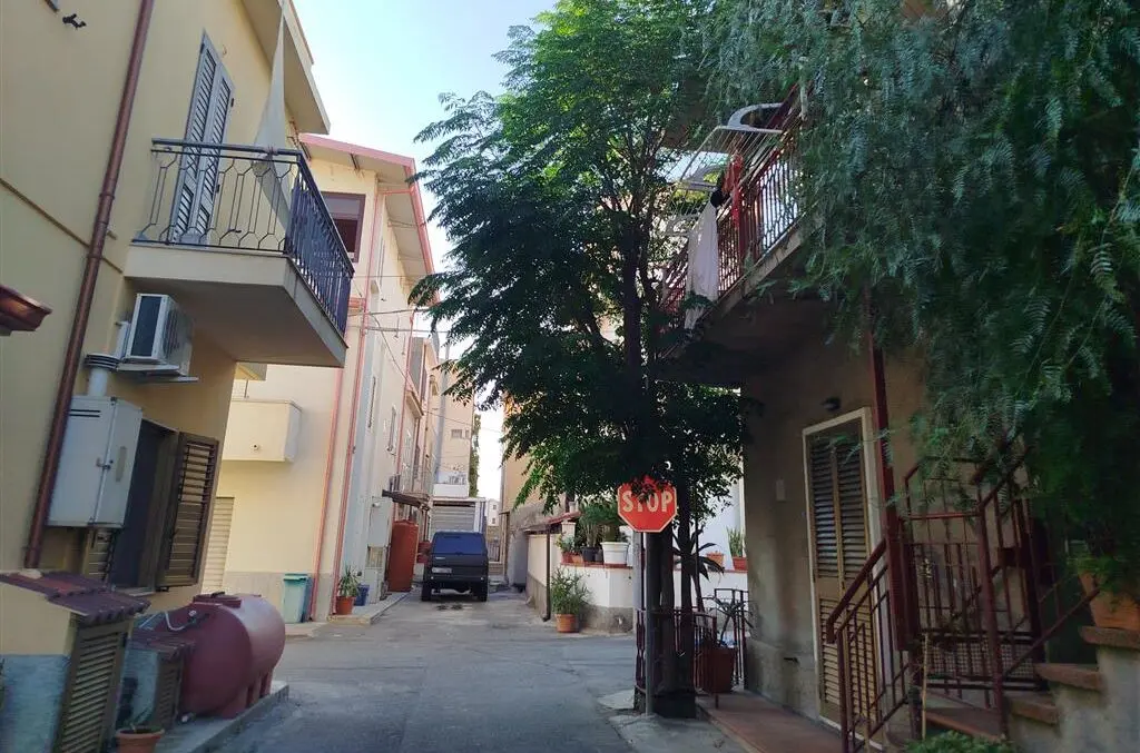 Lazzaro, alberi in via Trento una minaccia per la circolazione stradale. La denuncia dell'Ancadic