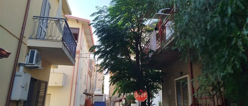 Lazzaro, alberi in via Trento una minaccia per la circolazione stradale. La denuncia dell'Ancadic