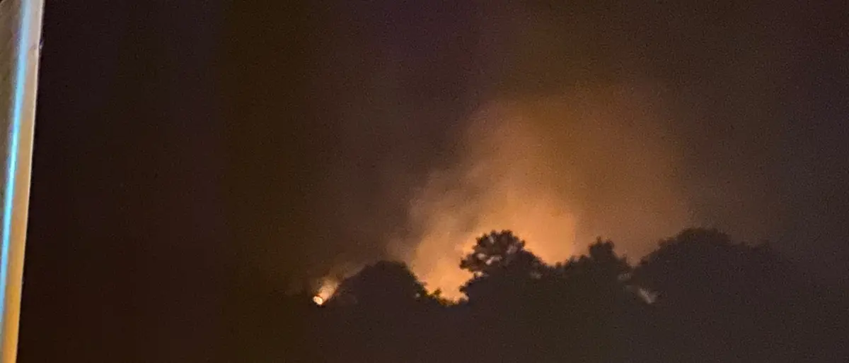 Aspromonte, vasto incendio sulla montagna di Polsi: in azione due canadair