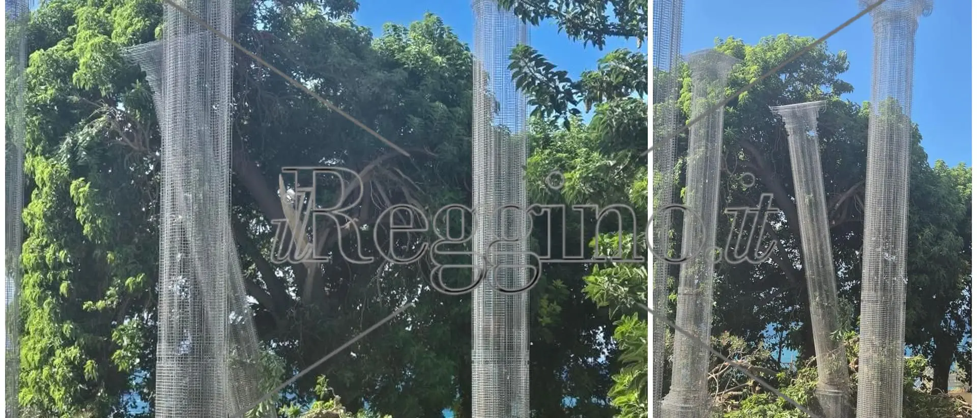 Reggio, crolla un albero sul lungomare: danneggiata Opera di Tresoldi