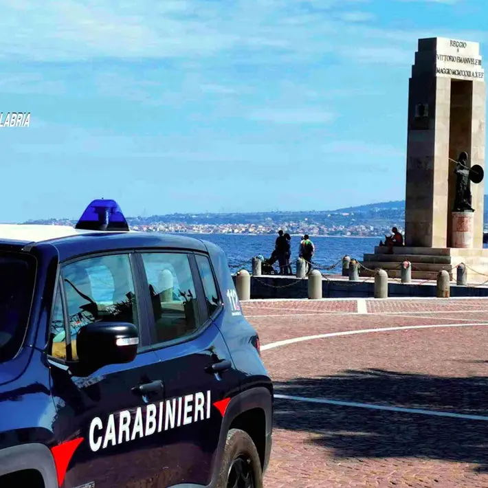 Reggio, conclusa l'operazione Wave: sequestrati quasi 140 kg di prodotti ittici e oltre 25 kg di prodotti carnei non conformi