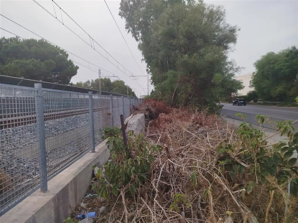 Lazzaro, Ancadic: «Vegetazione pericolosa su Ss106 e ferrovia, urge intervento»