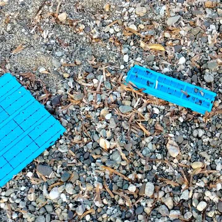 Bova Marina, la minoranza: «Soldi pubblici finiti a mare»