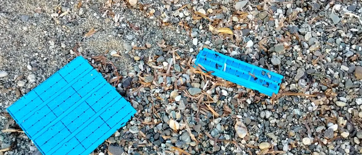 Bova Marina, la minoranza: «Soldi pubblici finiti a mare»