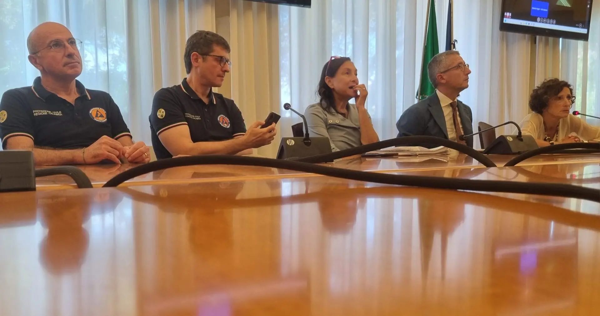 Emergenza cinghiali nell'area grecanica, oggi vertice in Prefettura. Zavettieri: «Continui rimpalli di responsabilità»