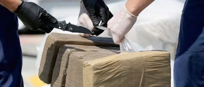 «'Ndrangheta broker più importante nel narcotraffico internazionale»