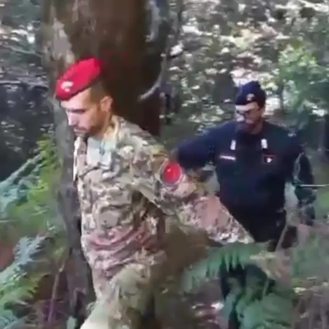 Careri e Platì, carabinieri rinvengono oltre mille piante di marijuana: un arresto