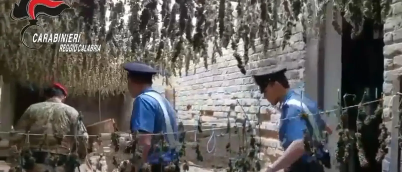 Taurianova, condannato uomo che aveva sepolto 250kg di marijuana in bidoni interrati in fiumara