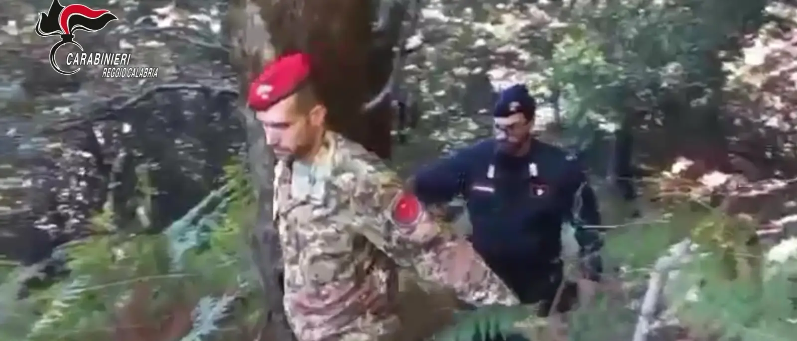 Platì, arrestato un 59 enne trovato in possesso di un fucile modificato che coltivava canapa indiana