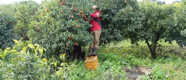 Cgil rivendica dignità per gli invisibili. Pronta manifestazione