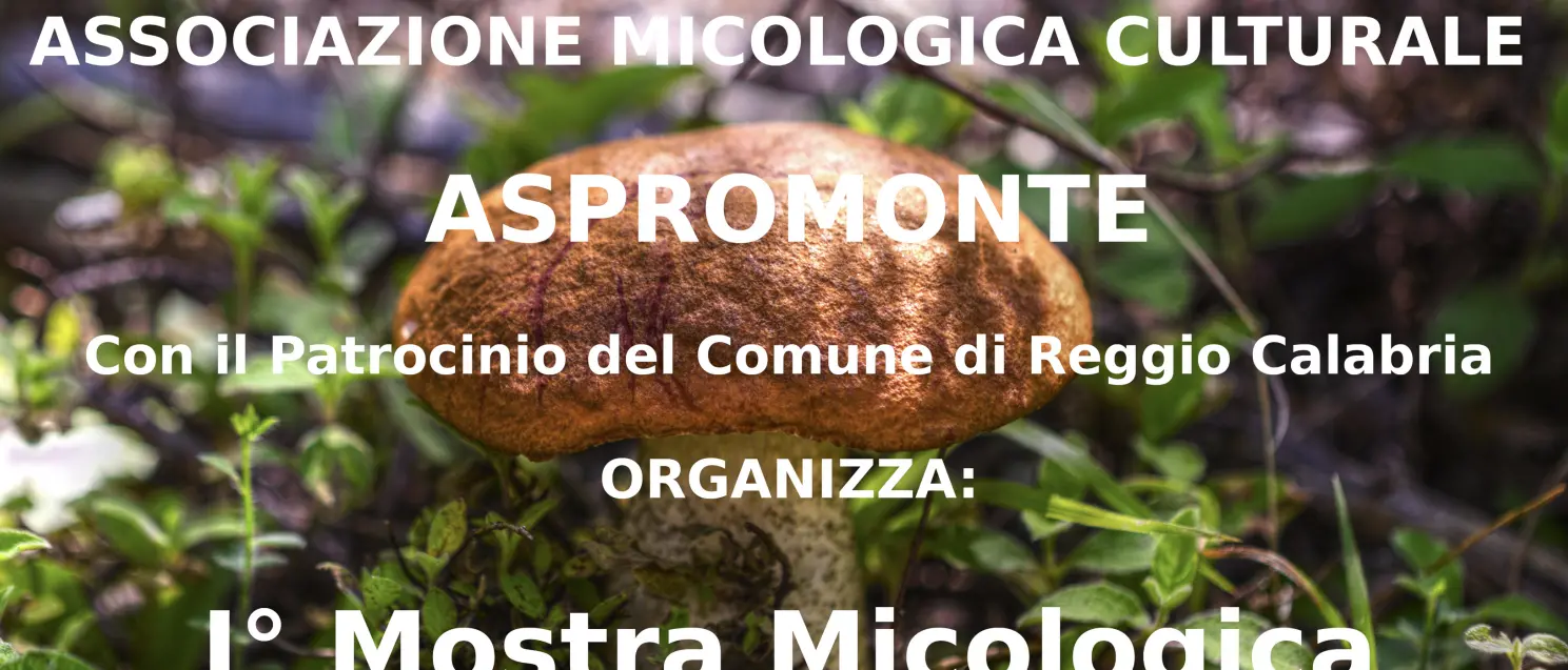 Reggio, prima mostra mostra micologica a cura dell’associazione culturale Aspromonte