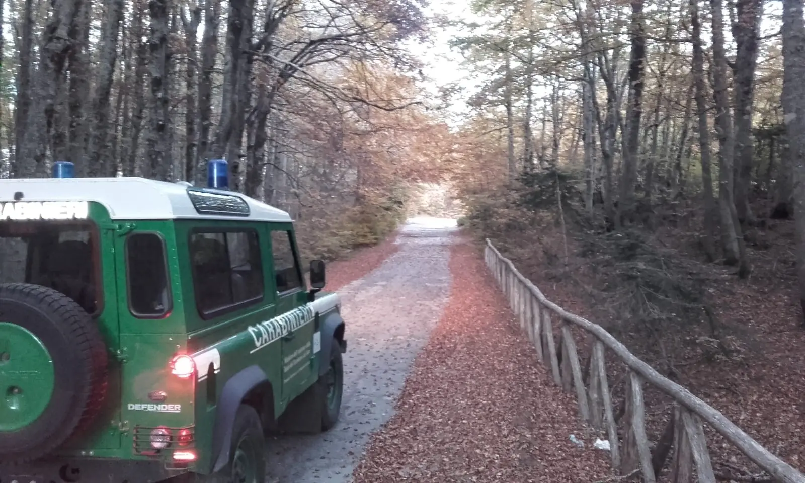 Carabinieri Forestali scovano pascolo abusivo nel Parco Nazionale d'Aspromonte