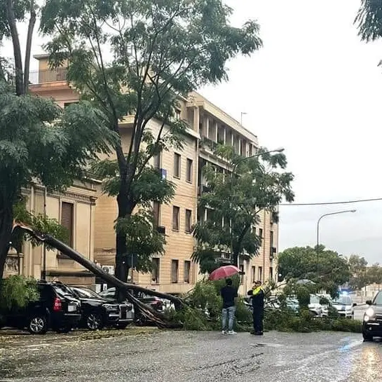 Maltempo a Reggio, il centrodestra attacca Barreca: «Dovrebbe vergognarsi per l’incuria in città»