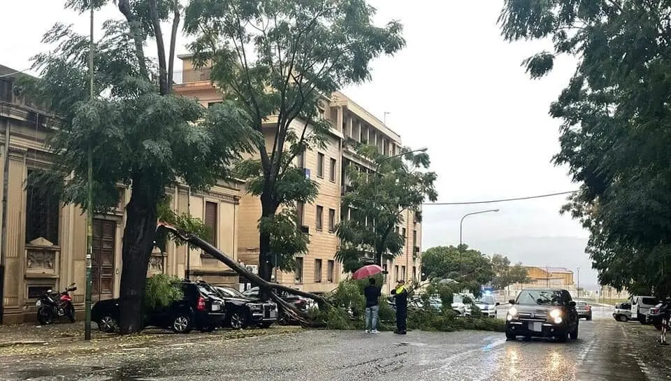 Maltempo a Reggio, il centrodestra attacca Barreca: «Dovrebbe vergognarsi per l’incuria in città»