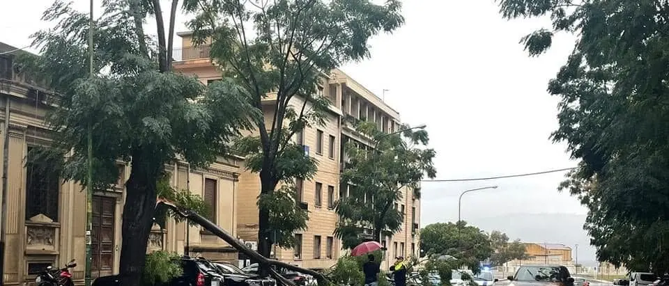 Maltempo a Reggio, il centrodestra attacca Barreca: «Dovrebbe vergognarsi per l’incuria in città»