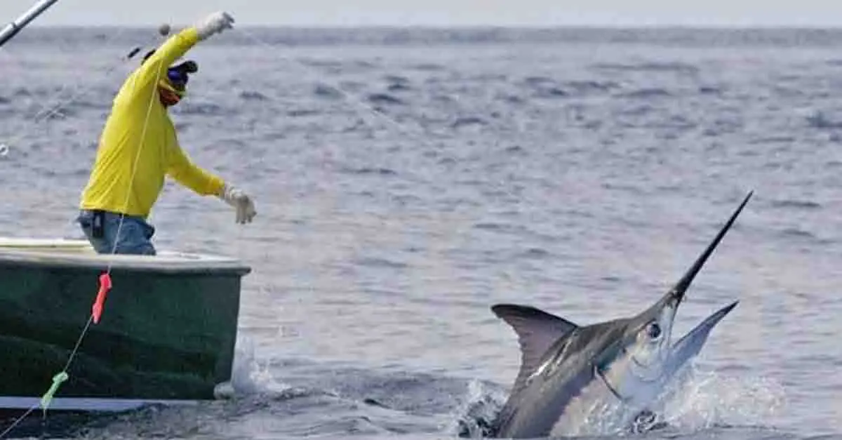Pesca in Calabria, Coldiretti: «Scatta da oggi il fermo dal Tirreno allo Ionio»