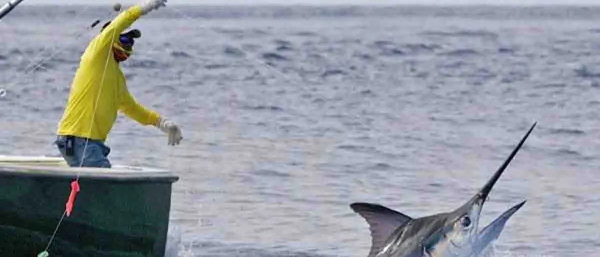 Pesca in Calabria, Coldiretti: «Scatta da oggi il fermo dal Tirreno allo Ionio»