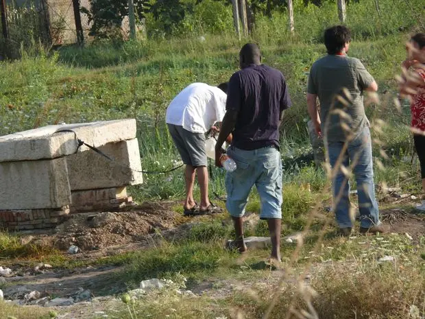 Nasce nella Piana di Gioia Tauro l'associazione \"Terra e Libertà\"