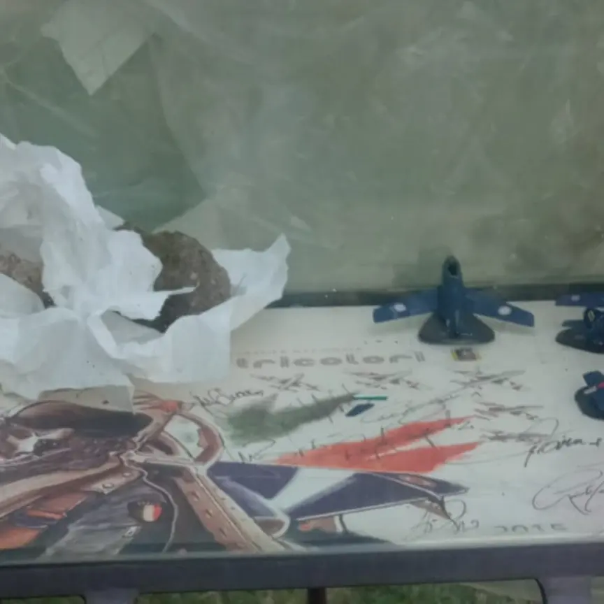 Danneggiata la teca dedicata al piccolo Gianluca Canonico a Reggio, papà Pietro: «Sono indignato»