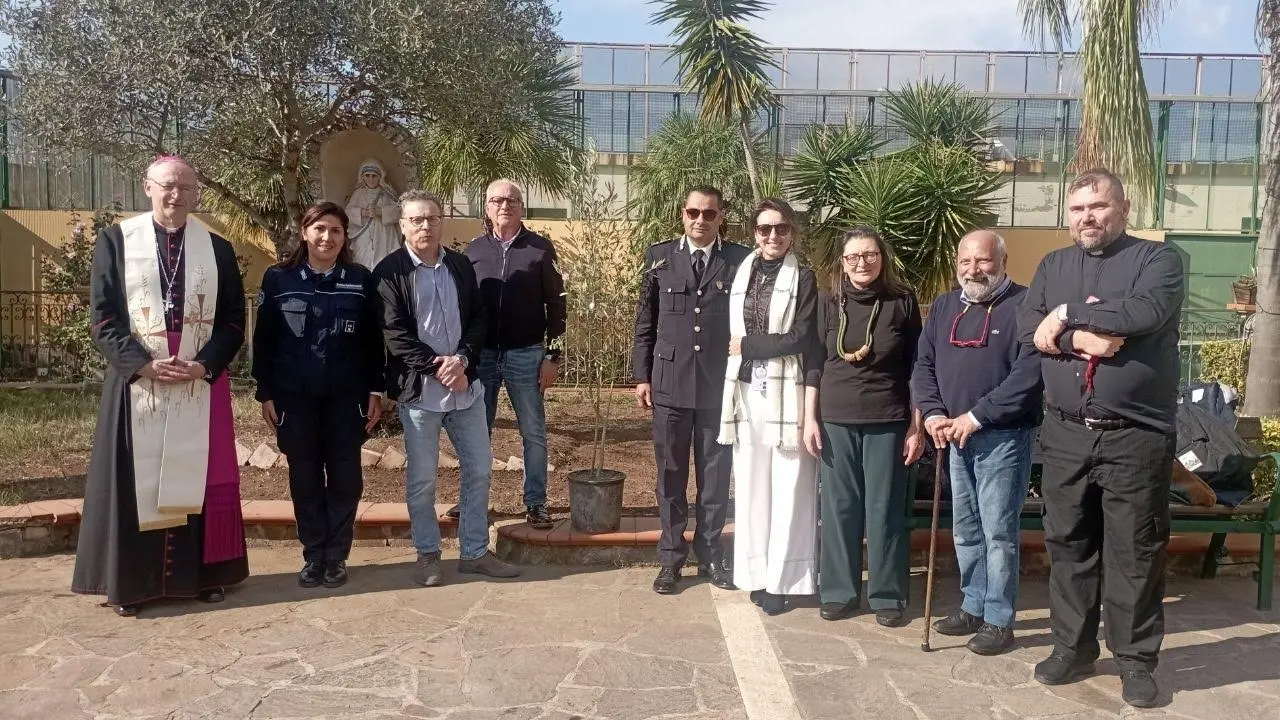 L’olivo bianco della Madonna messo a dimora dai detenuti del carcere di Palmi: «Simbolo di riconciliazione e rinascita»