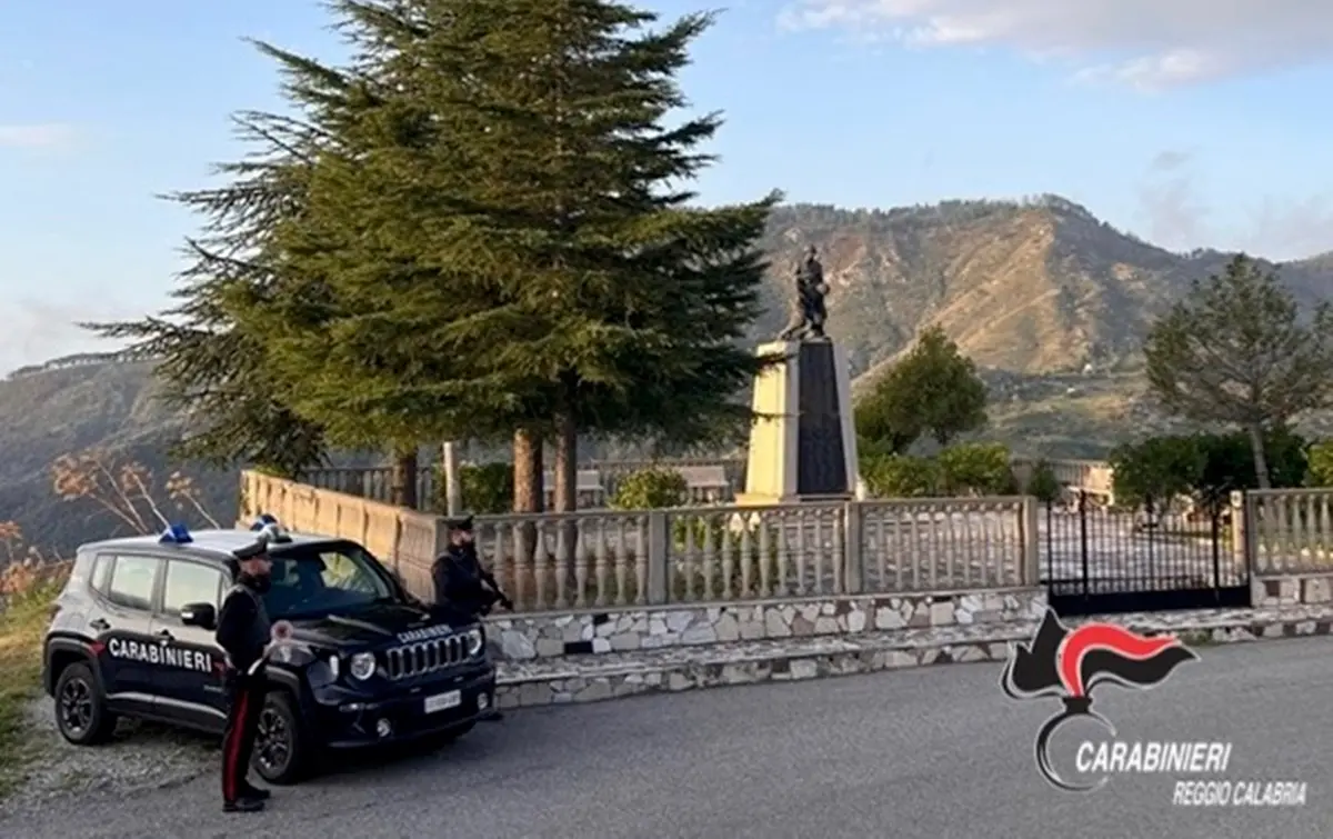 Melito e Condofuri, due uomini denunciati per furto di Energia e incendi boschivi