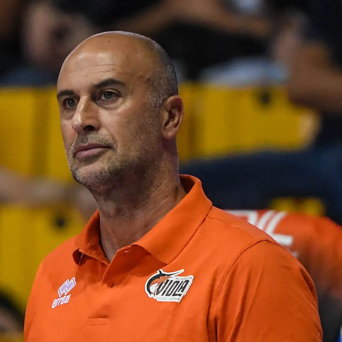 Viola Basket, Marco Vitale: «Così la Viola corre di più»