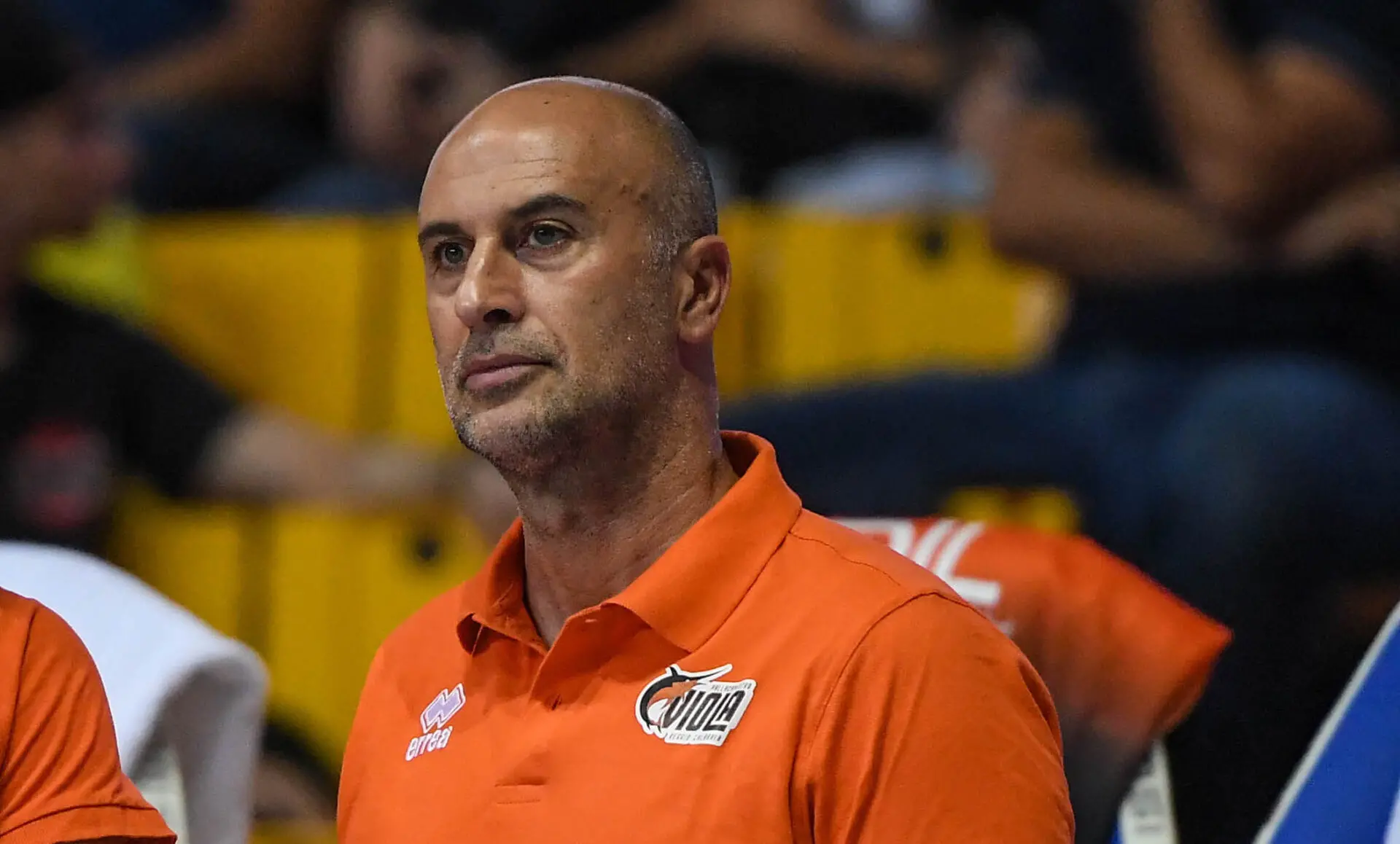 Viola Basket, Marco Vitale: «Così la Viola corre di più»