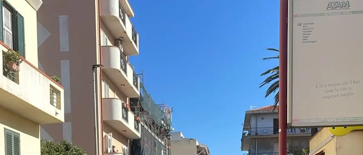 Reggio, Nuovo fronte politico: «Gatti investiti e rischio incolumità dei residenti a Gallina»