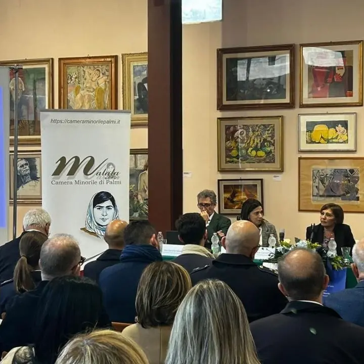 Palmi, convegno sui nuovi media e le conseguenze neurologiche negli adolescenti, organizzato dalla Camera minorile \"Malala\"