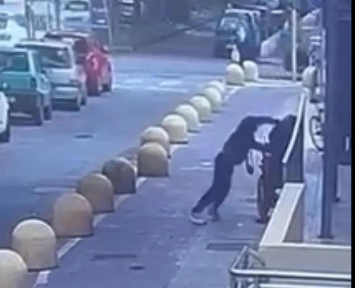 Aggressione a Reggio, Milia (FI) e Recupero (Lega): «Un episodio di inaudita gravità»