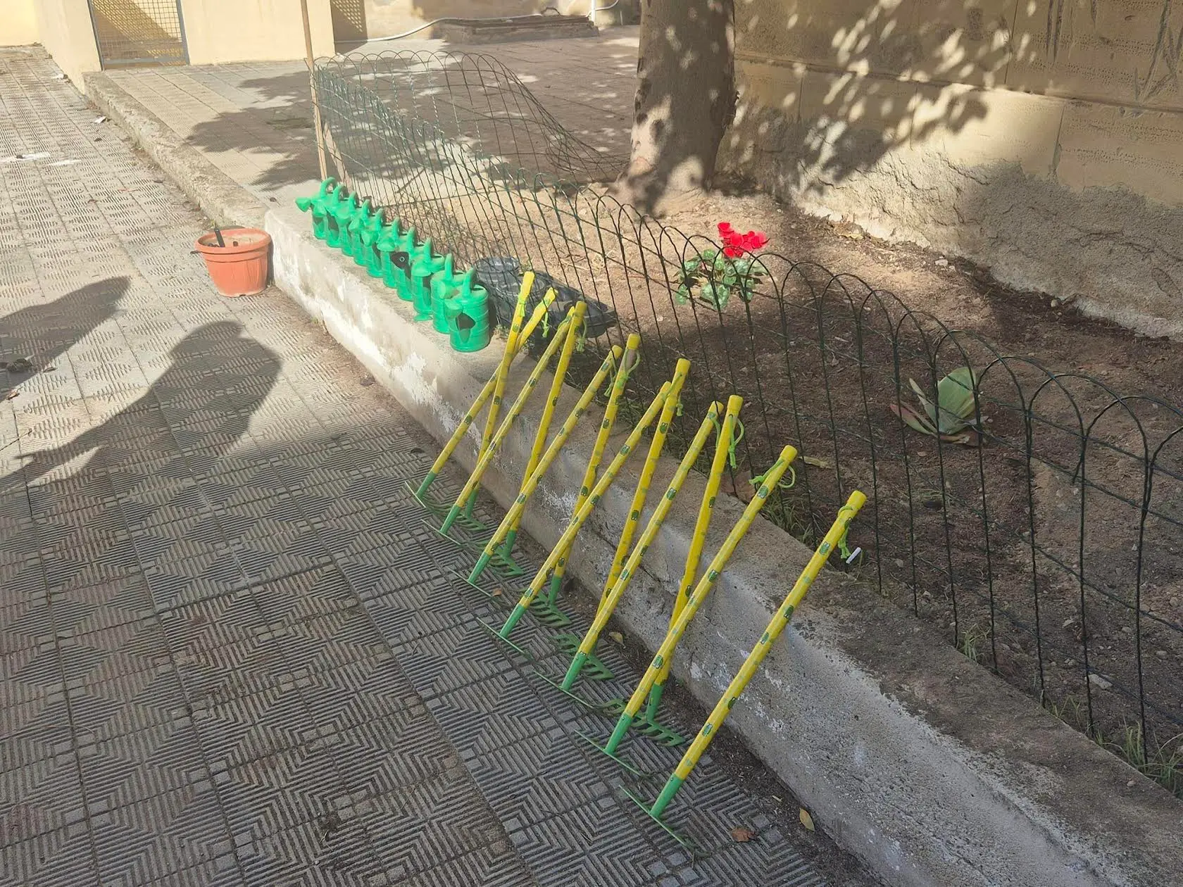 Reggio, nella giornata internazionale dell'albero rinasce l'aiuola Italo Falcomatà