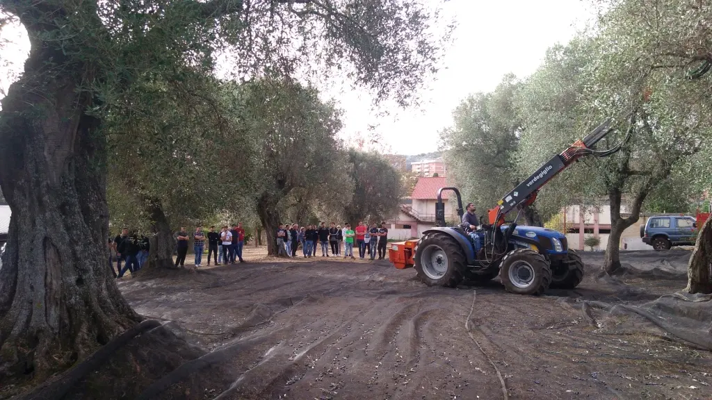 La scuola agraria di Palmi presenta il suo olio d’eccellenza: un convegno su biodiversità e climate change