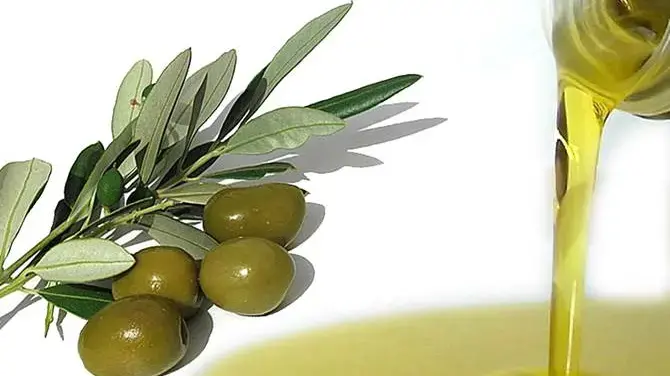 L’Olio Igp Calabria incontra le Aziende calabresi: oggi iniziativa nel Catanzarese