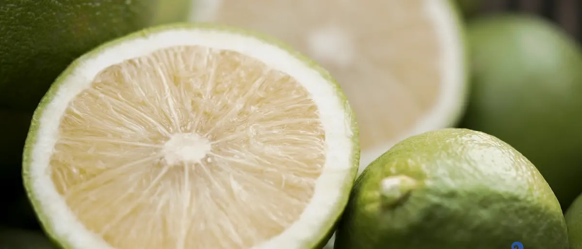 La Città metropolitana promuove la ‘Carta dei dolci tipici del reggino’