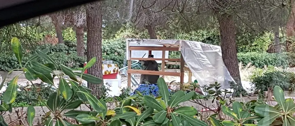 Sorgonà si appella al sindaco per i senzatetto: «Risolvere il problema casa»