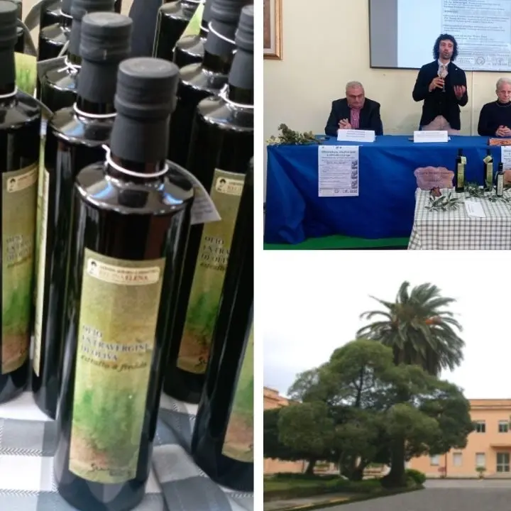 Palmi, presentato l'olio Evo \"Regina Elena\" della storica azienda dell'istituto tecnico agrario