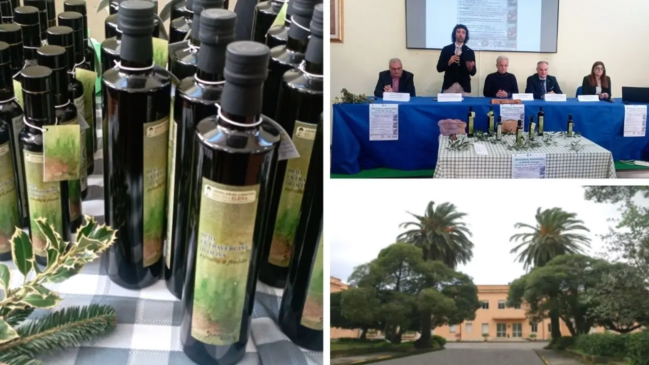 Palmi, presentato l'olio Evo \"Regina Elena\" della storica azienda dell'istituto tecnico agrario