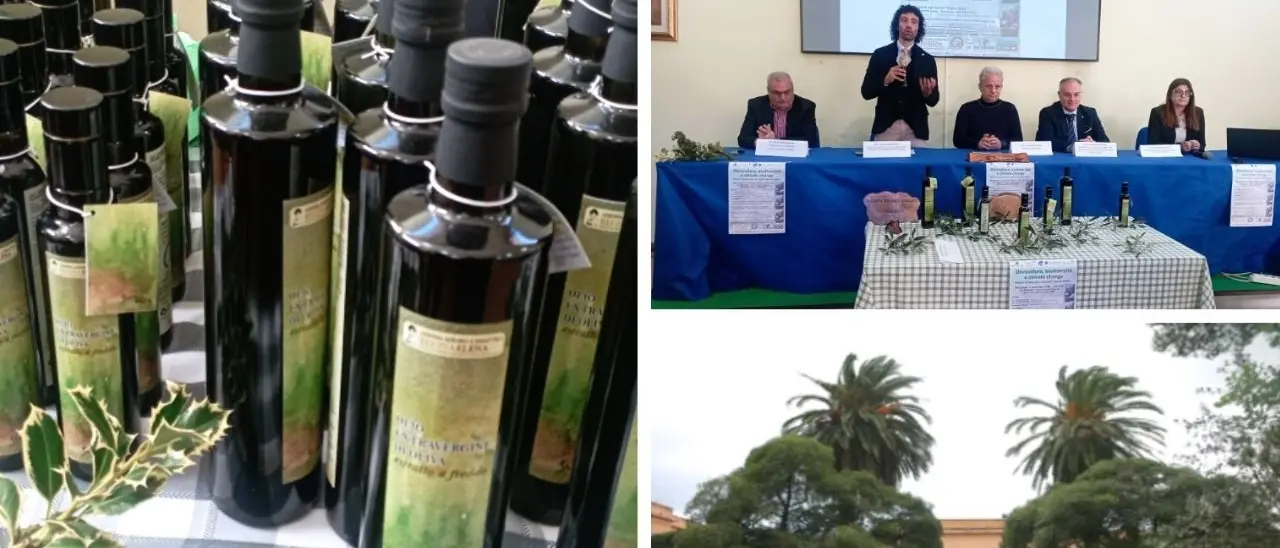Palmi, presentato l'olio Evo \"Regina Elena\" della storica azienda dell'istituto tecnico agrario