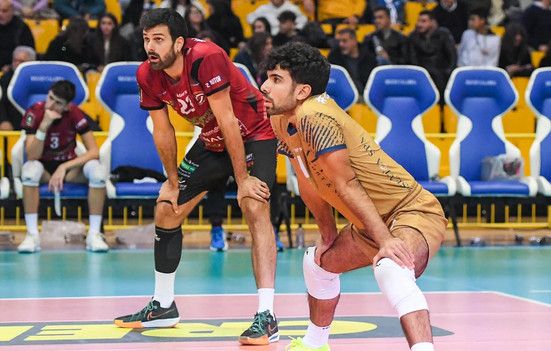 Volley, Saverio De Santis commenta la partita della Domotek e punta alla Coppa Italia