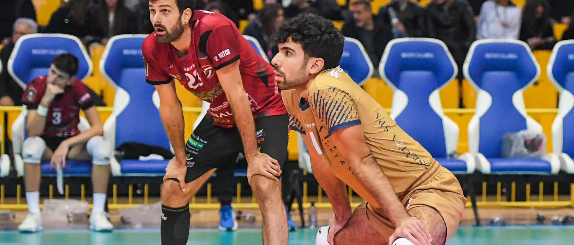 Volley, Saverio De Santis commenta la partita della Domotek e punta alla Coppa Italia