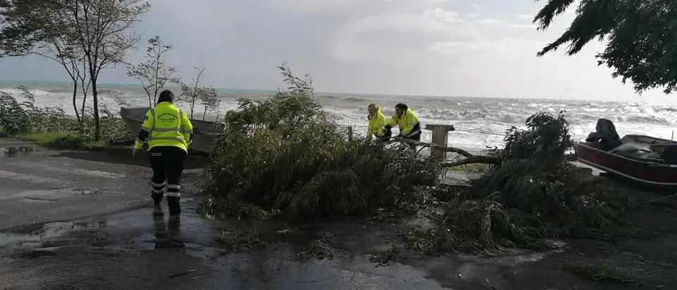 Domani si torna a scuola. Allerta diminuita da rossa a gialla