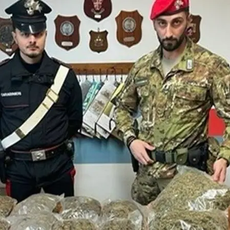 Platì, rinvenuti 4, 5 Kg di marijuana e 50 munizioni