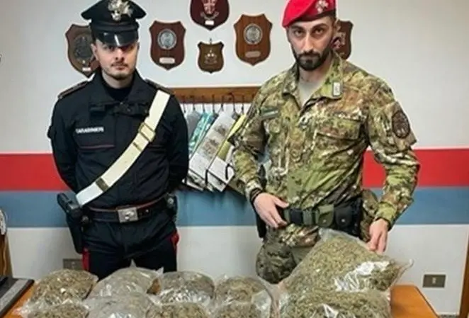 Platì, rinvenuti 4, 5 Kg di marijuana e 50 munizioni