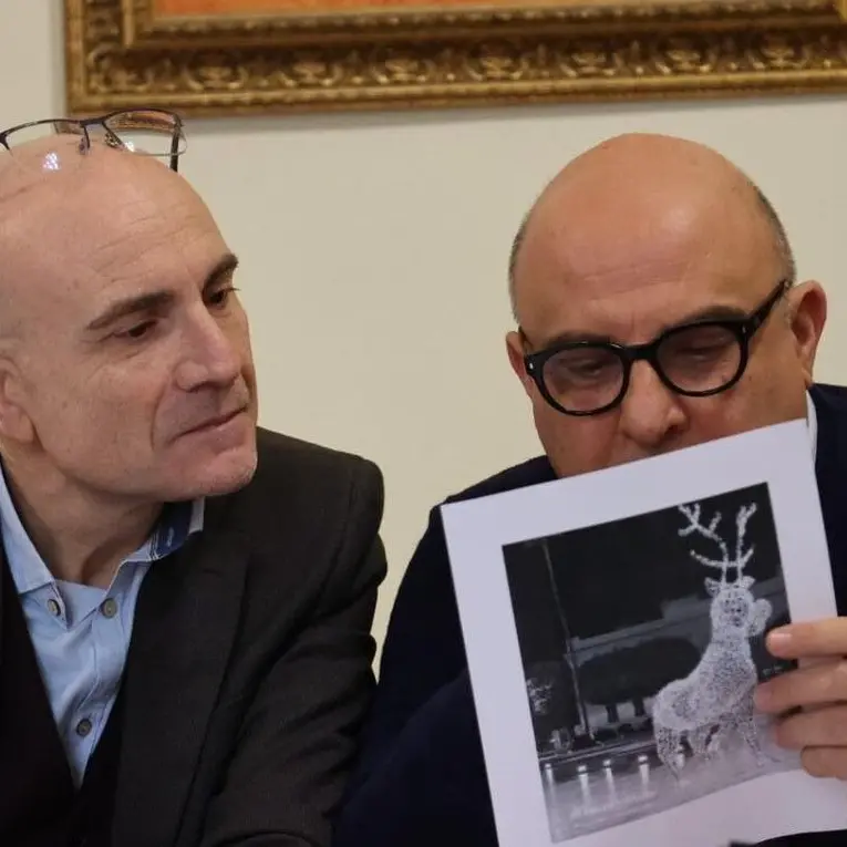 Reggio, continua in Commissione garanzia l'esame sui costi degli eventi natalizi