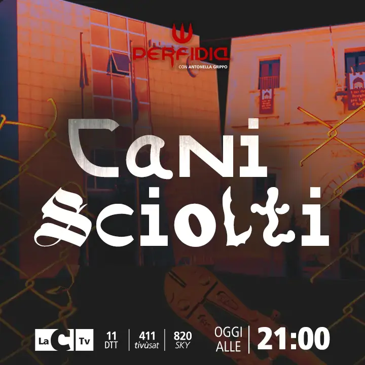 Rende, Tropea e gli altri, i Comuni sciolti in Calabria sono troppi? Perfidia sul confine tra giustizia e repressione - RIVEDI LA PUNTATA