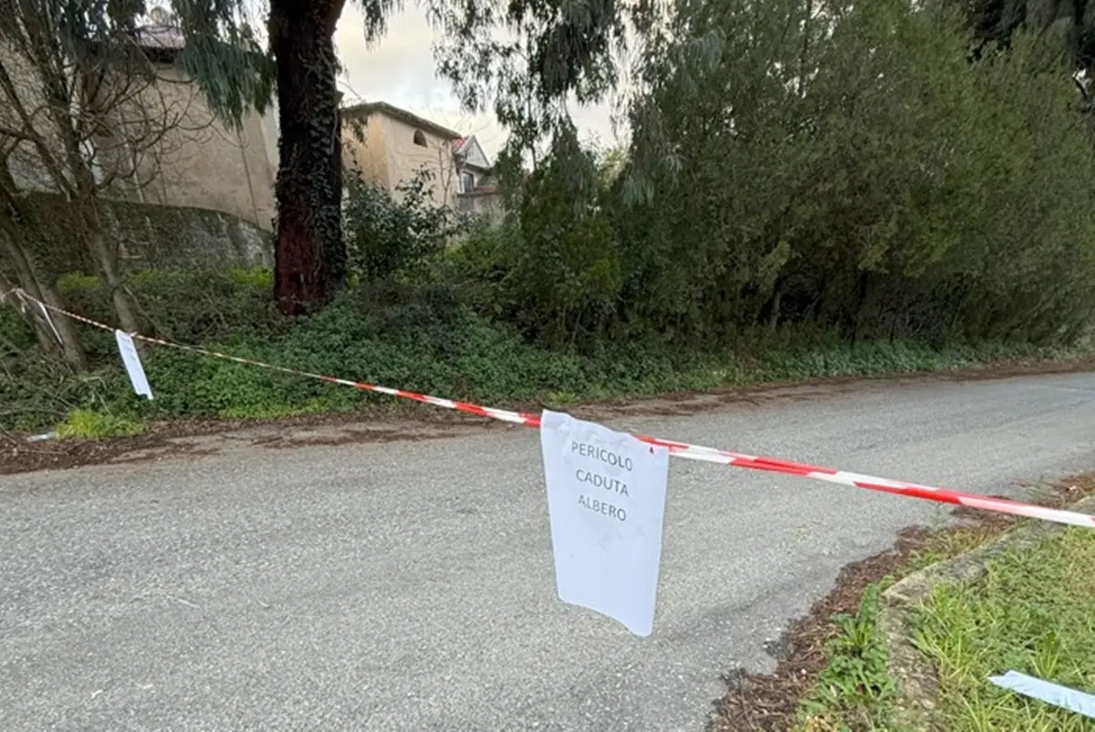 Maropati, i consiglieri comunali Ferrentino e Adornato denunciano i rischi per la sicurezza sul viale Seminara