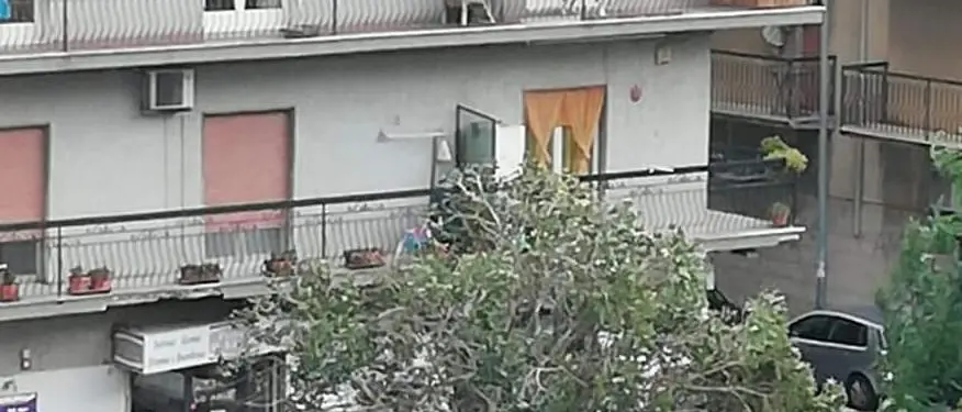 Il maltempo continua a fare danni. Albero sradicato a Reggio