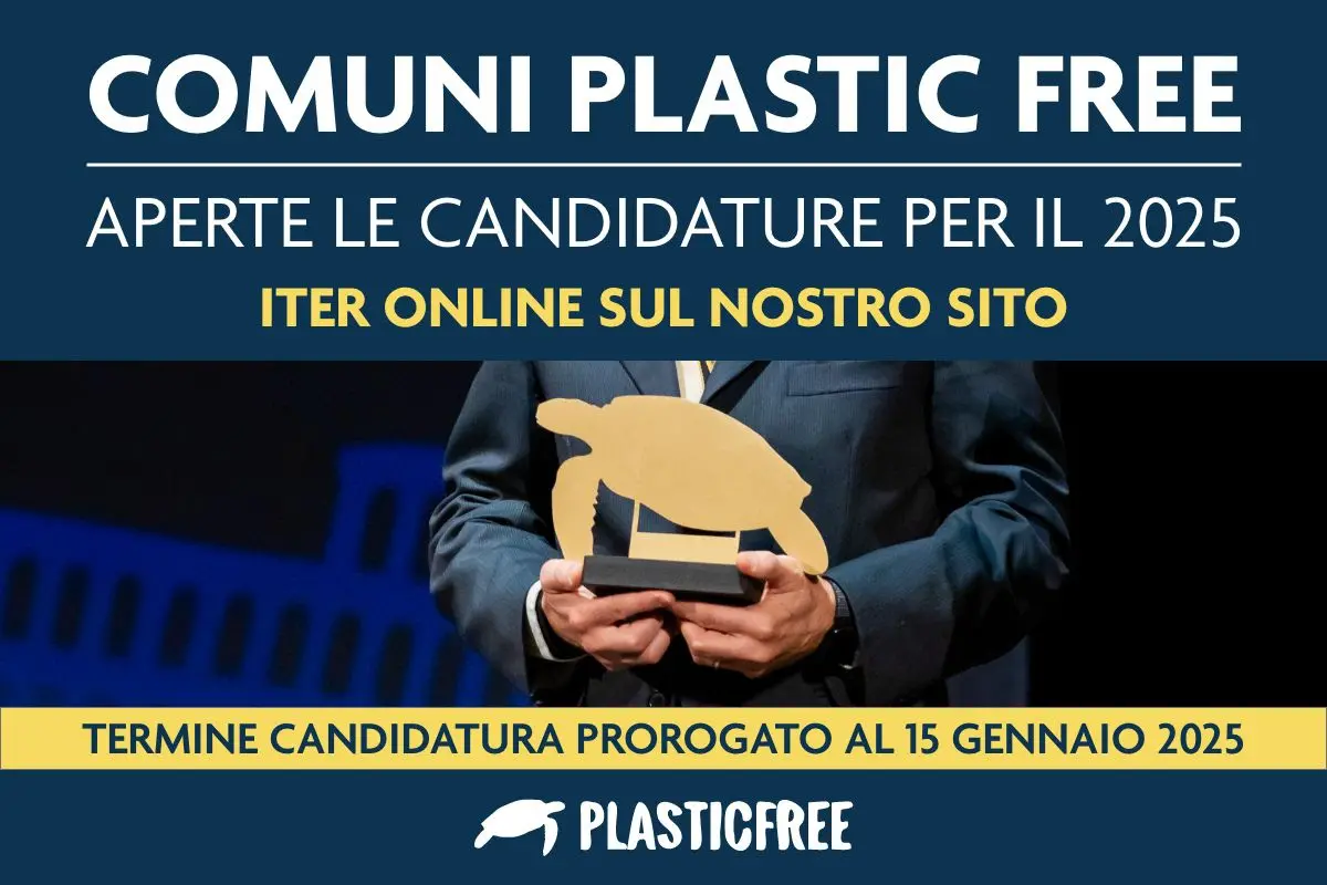 Calabria: Proroga delle candidature per divenire “Comune Plastic Free 2025”